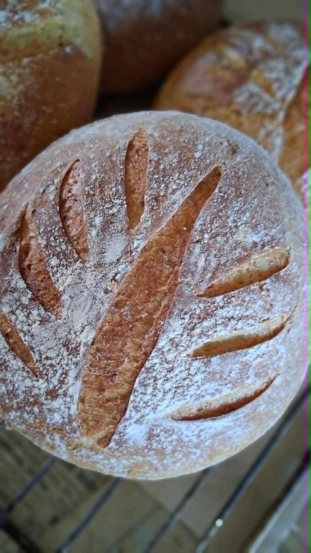 Kotileivottu maalaisleipä